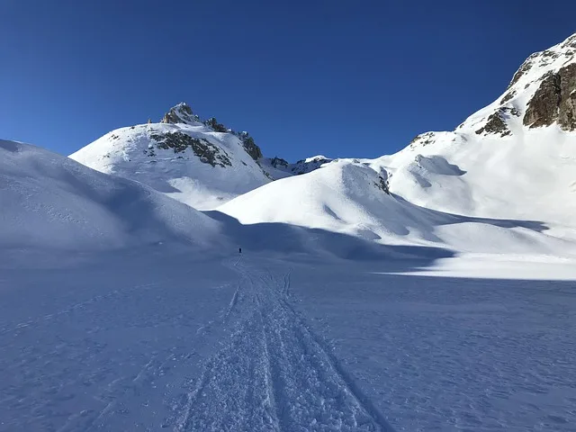 Columbs